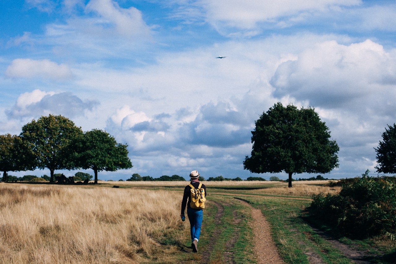 afvallen door wandelen in een weiland in nederland
