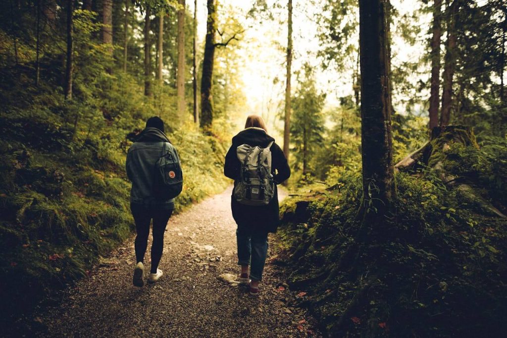 calorieën verbranden met wandelen in het bos