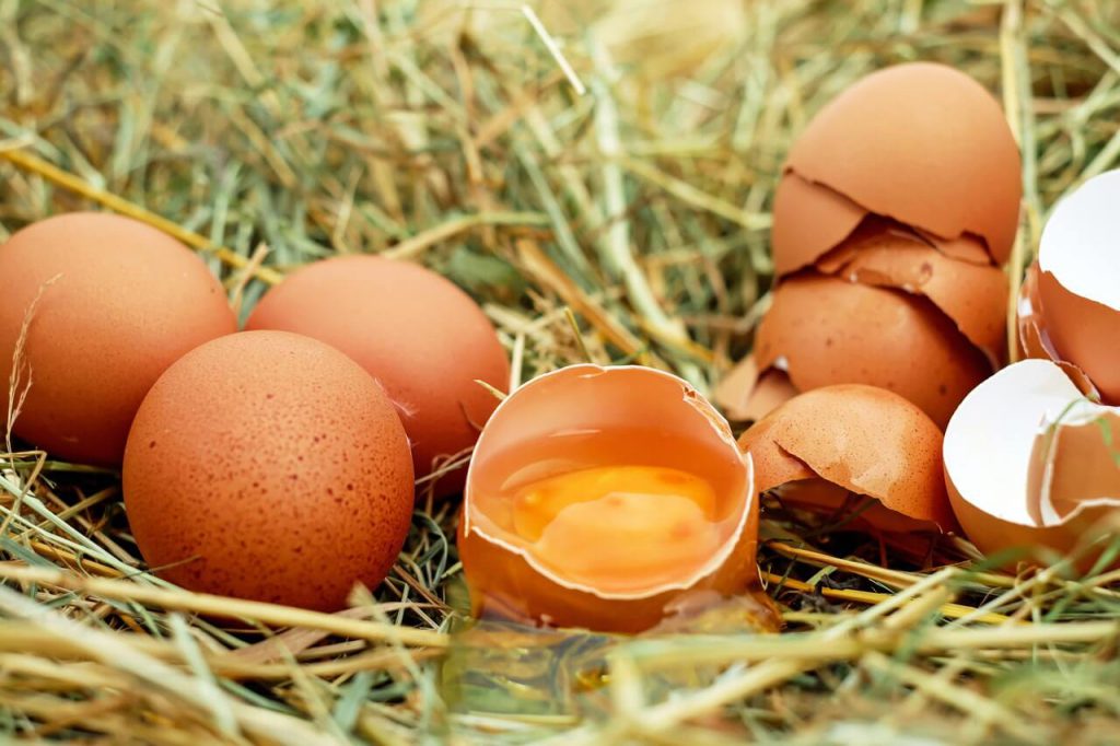 Rauw ei eten: wel of niet doen?