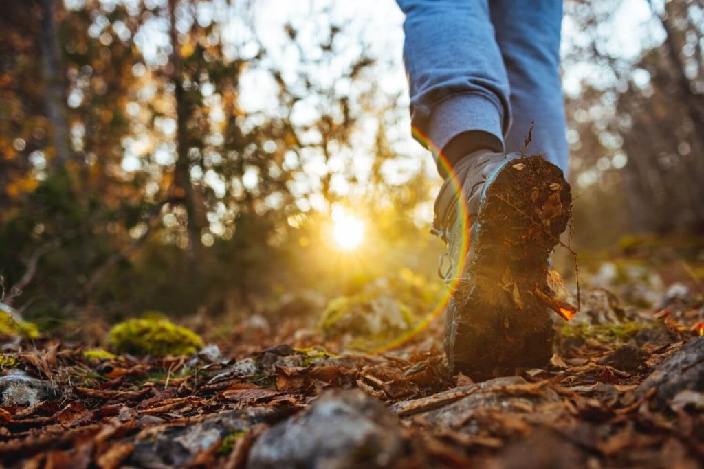 Wandelen in de natuur voor minder stress