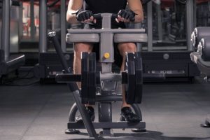 Seated calf raise